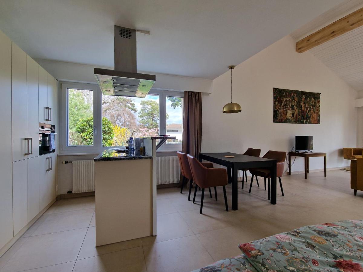Le Debarcadere Apartment Saint Sulpice  Ngoại thất bức ảnh